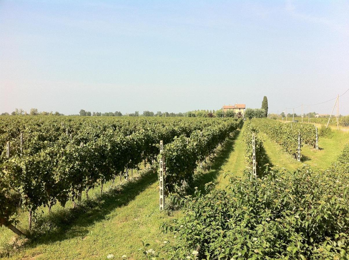 Cascina Tabachera X10 Country House Sirmione Garda Lake Pozzolengo Rom bilde