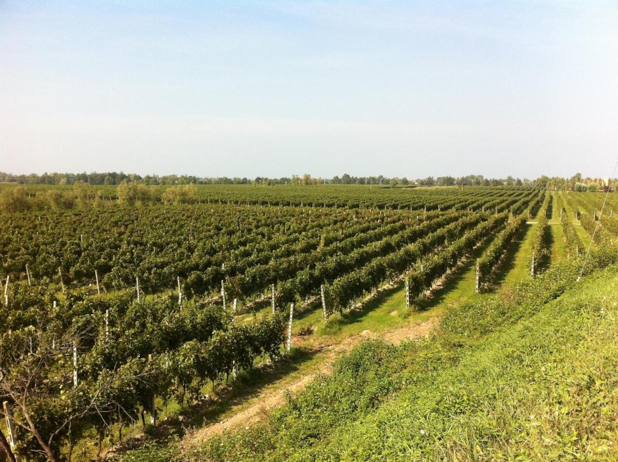 Cascina Tabachera X10 Country House Sirmione Garda Lake Pozzolengo Rom bilde